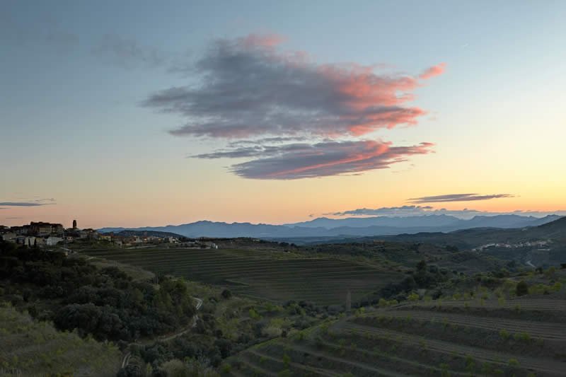 Hotel Trossos del Priorat ubicado en plena naturaleza