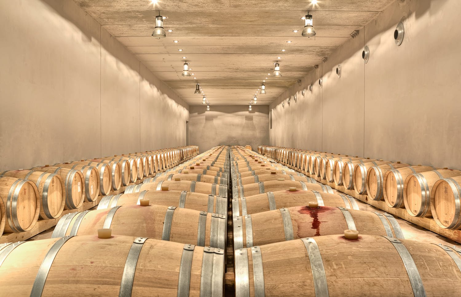 VISITA NUESTRA BODEGA